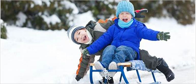 Two person sled